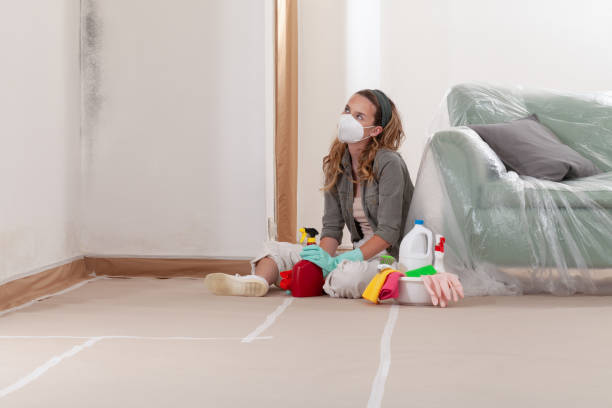 Reliable Commercial Mold Remediation contractor in Church Hill, TN by WQB Mold Removal