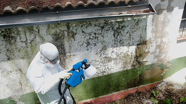 Top rated local Commercial Mold Remediation specialists in Church Hill, TN